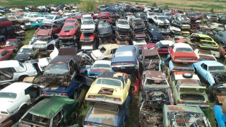 Illustration for article titled Is This The World's Largest Vintage Mustang Junkyard?